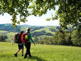 Wanderung über die Wiese, © weinfranz.at