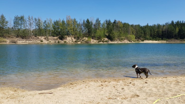 Swimming with your dog at the Gmünd lido, © Waldviertel Tourismus, Kerstin Glaser