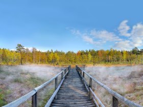 Pr&uuml;gelsteg im Naturpark Heidenreichsteiner Moor, &copy; Horst Dolak
