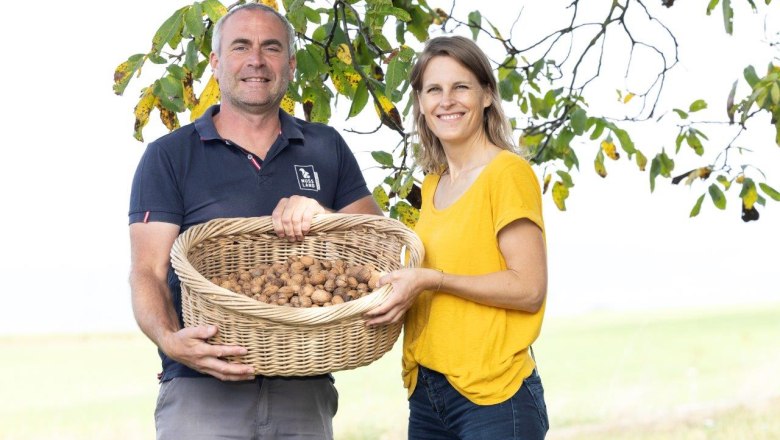 NUSSLAND, ořechovice, kter&eacute; zu&scaron;lechťuj&iacute;, &copy; Theo Kust