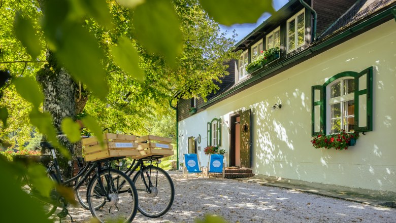 Idylický venkovský dům se zelenými okenicemi, koly a lehátky na zahradě, obklopený stromy.