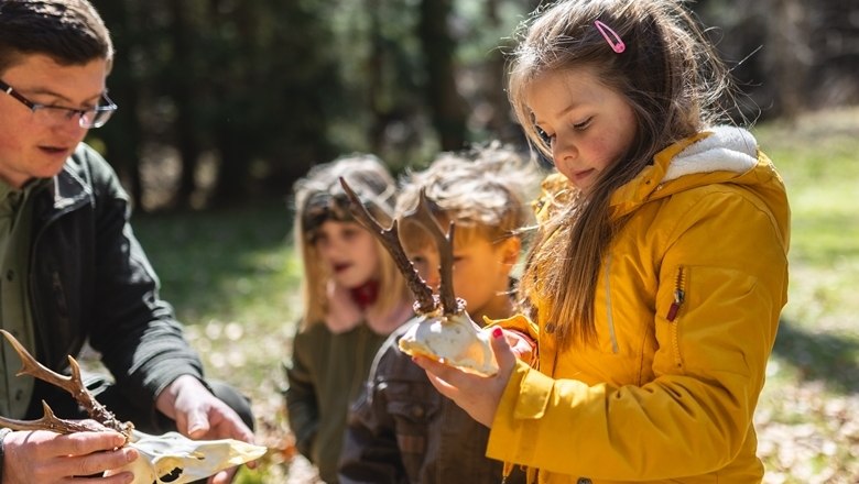 Loveck&aacute; prohl&aacute;&scaron;en&iacute;, &copy; Wunderwelt Wald, Fotograf Benjamin Wald