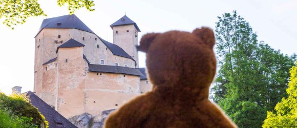 Medvídě vzhlíží k hradu Rappottenstein, © Martin Lugmayr/www.art.waldsoft.at