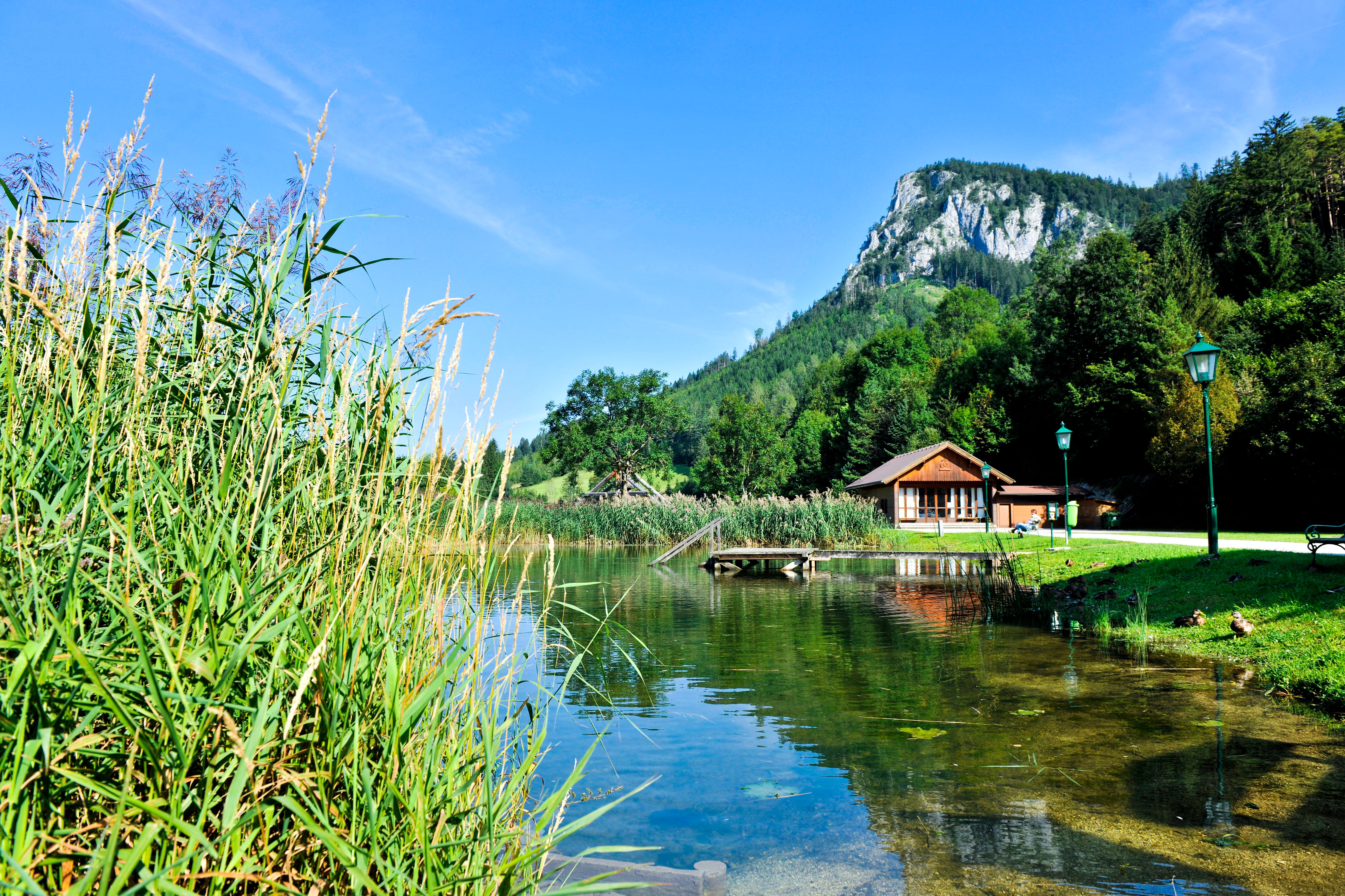 Rybník s rákosím, dřevěnou lávkou a domkem v Přírodním parku Falkenstein, obklopený zalesněnými horami.