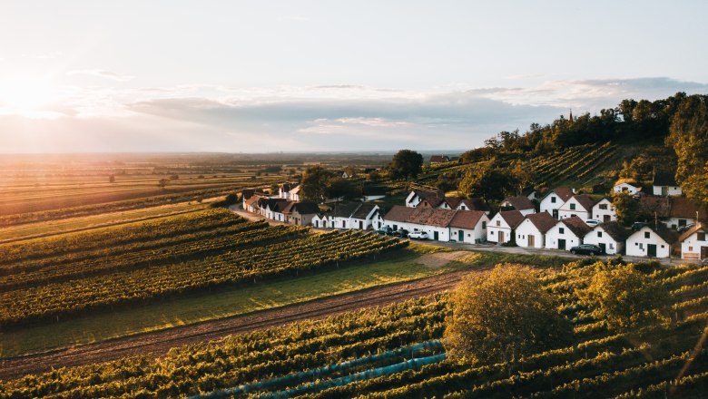 Nejdelší sklepní ulička ve Weinviertelu, Maulavern., © Romeo Felsenreich