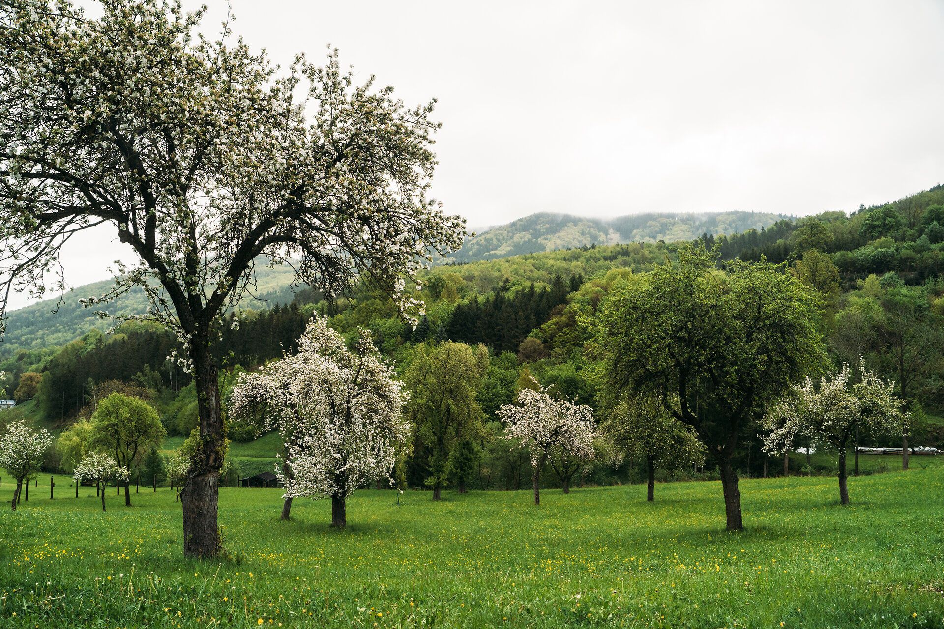 Způsob života, pěší turistika, dálková turistika