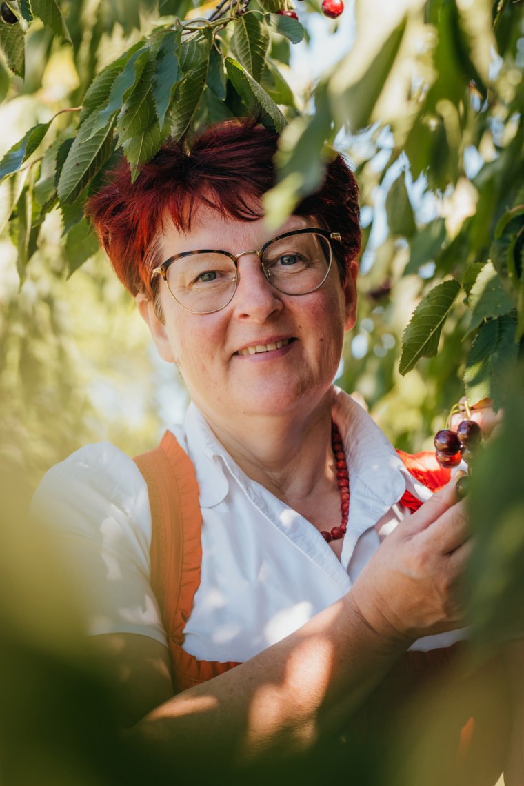 Martina Krenn sbírá ovoce., © Niederösterreich Werbung/Daniela Führer
