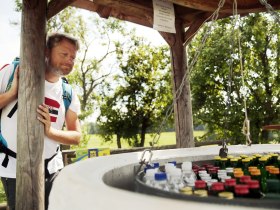 Mostbrunnen Weinburg, &copy; weinfranz.at