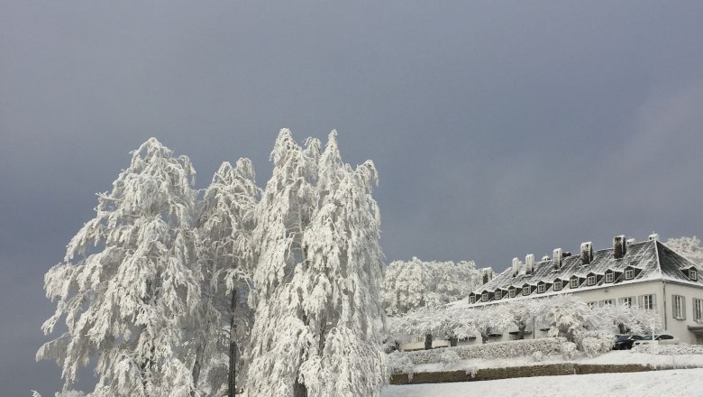 Winter on the Tulbingerkogel, © F. Bläuel GesmbH