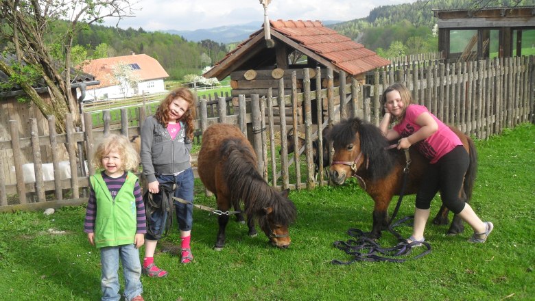 Tři děti se dvěma poníky na louce před dřevěným plotem.