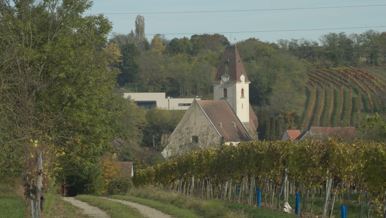 Vineyards around Ruppersthal, © IPG