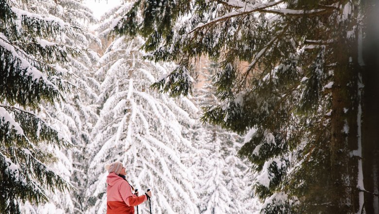 Nestelberg 17 (c)Marlene Schindlegger (31), &copy; Sabine Wieser