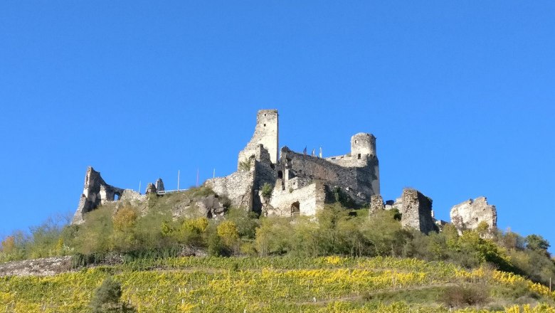 Senftenberg castle ruins summer, © Verein zur Erhaltung der Burgruine Senftenberg