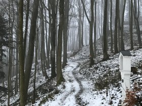 Winterwandern, &copy; Mostviertel Tourismus/@Haus der Elsbeere