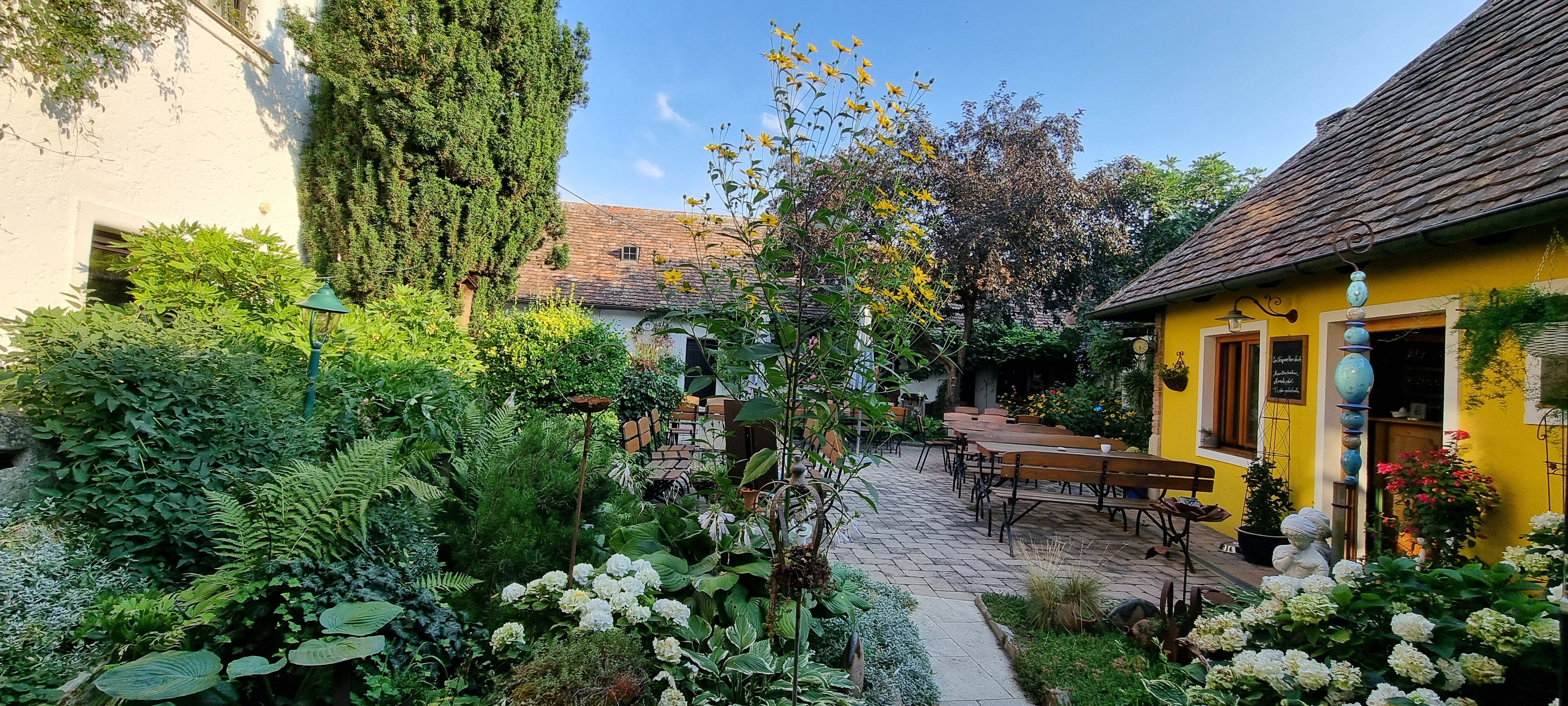 Útulná zahrada se žlutou budovou, dřevěnými lavičkami a bujnou vegetací pod modrou oblohou.