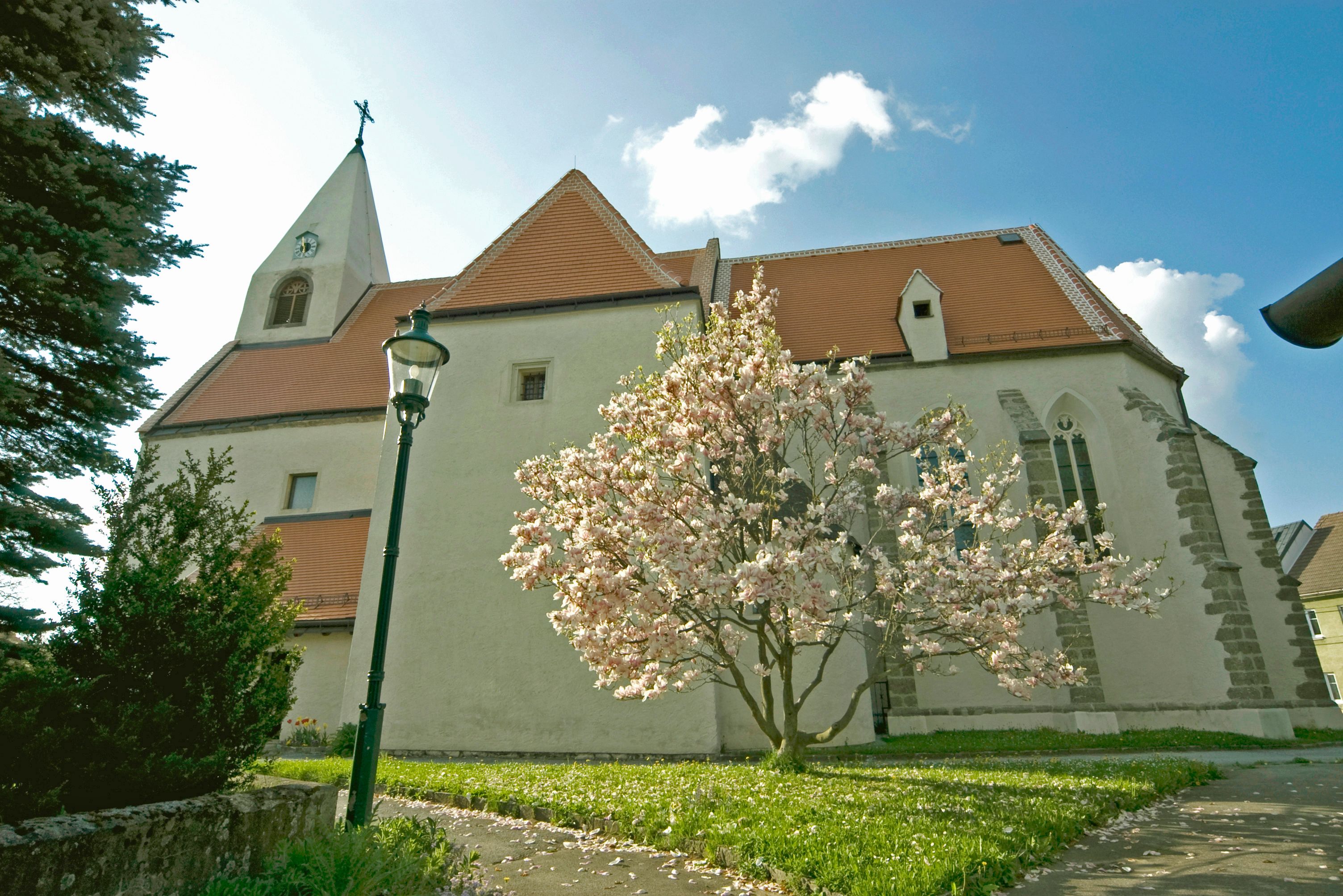 Farní kostel Maria Himmelfahrt s kvetoucím stromem v popředí.