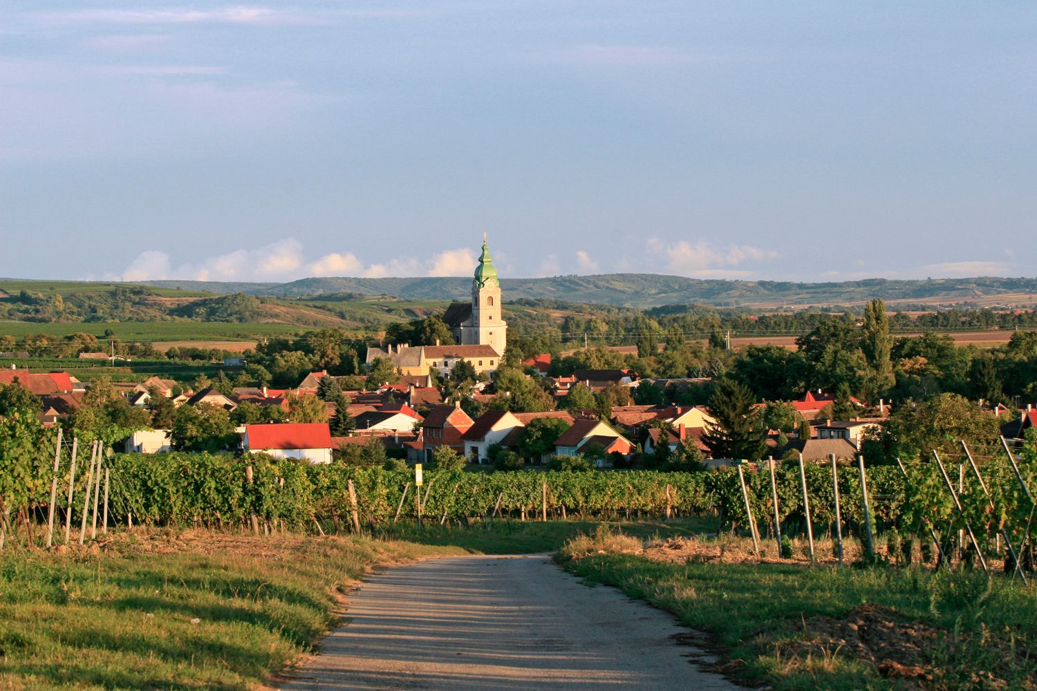 Pohled na obec Unterretzbach s kostelem a vinicemi v popředí.