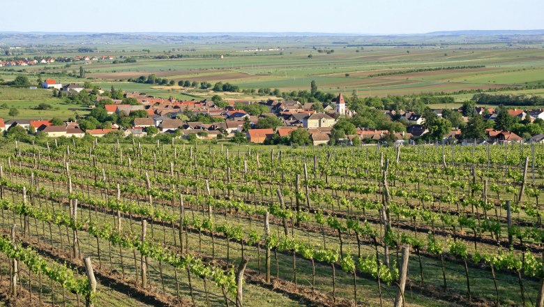 Heiliger Stein Aussicht, © Wolfgang Gerzer