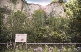 Geologick&aacute; naučn&aacute; stezka Mautern, &copy; Daniela Matejschek