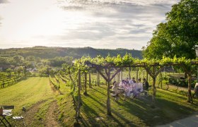 fall-0248, © Robert Herbst