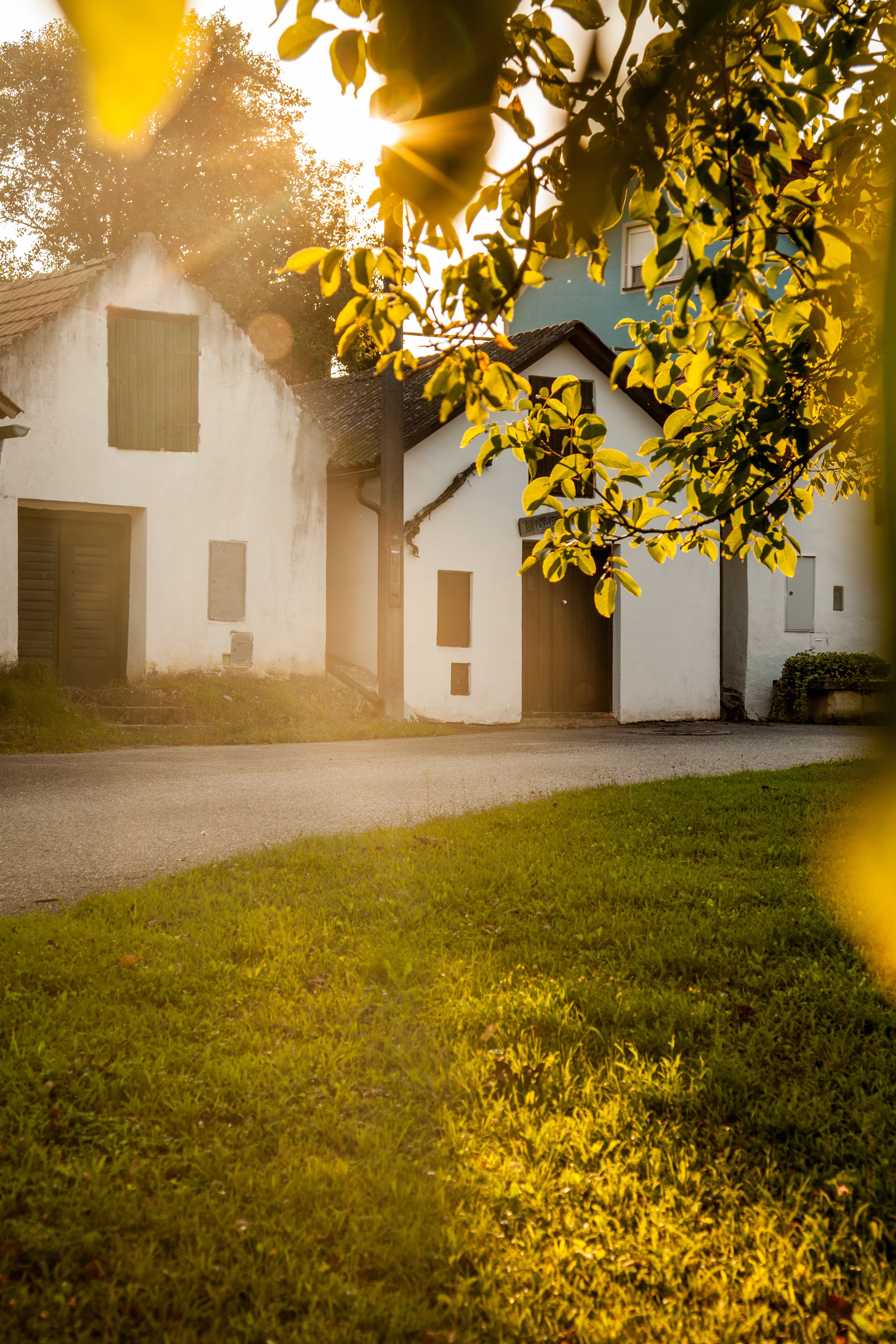Zelená vinice a turistická značka s nápisem "sklepní uličky Arbesthal". 