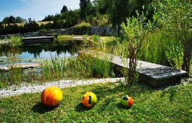 swimming biotope2, &copy; C Appartement Wistrcil Stellfeld, Martina Stellfeld