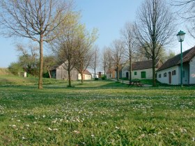 Bl&uuml;hende Wiesen, &copy; Franz Haslinger