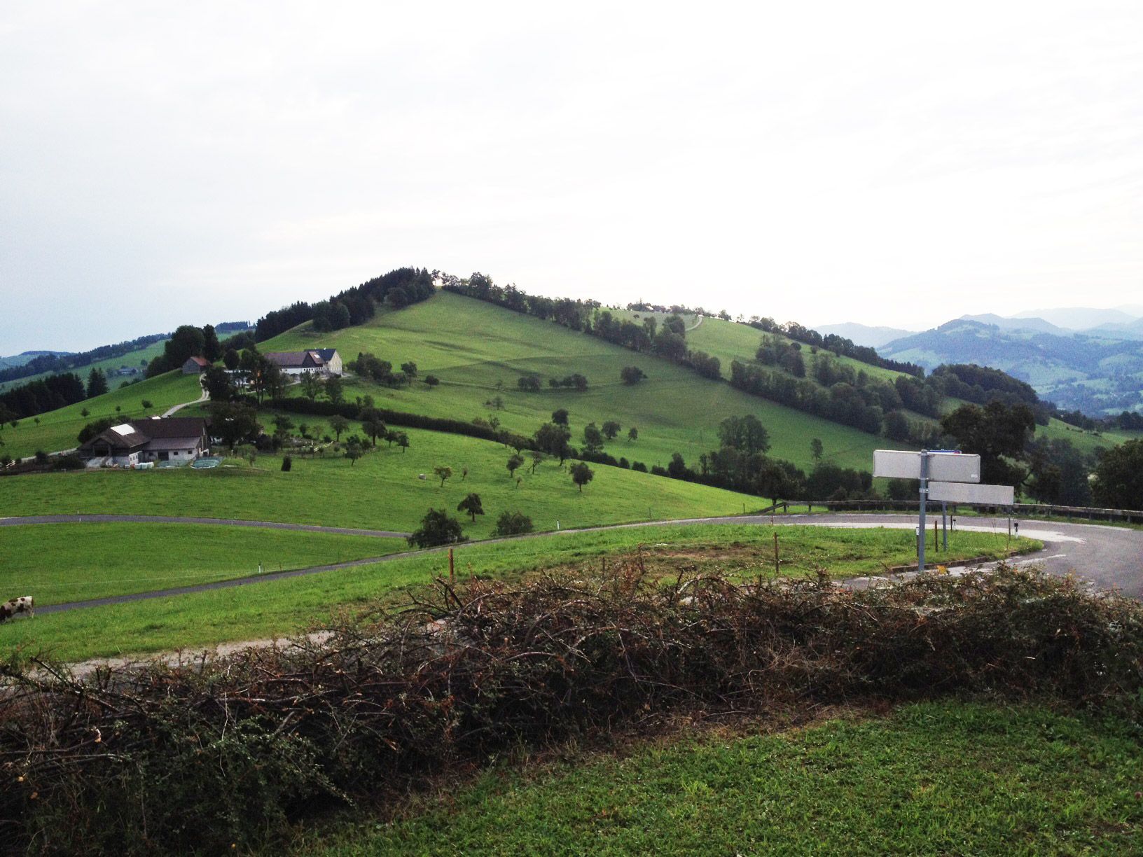 Krajina se zelenými kopci, statky a klikatou silnicí.