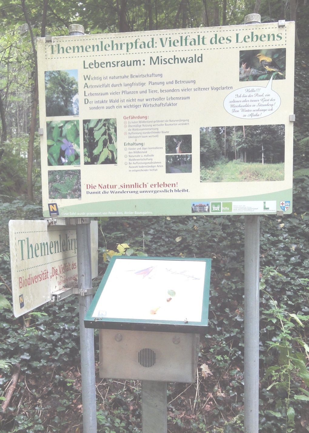 Seelackenbergweg