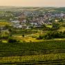 Weinort Herrnbaumgarten, © Robert Herbst