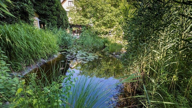 Pond idyll, Rosenbach's restaurant garden, © Karl Rosenbauch