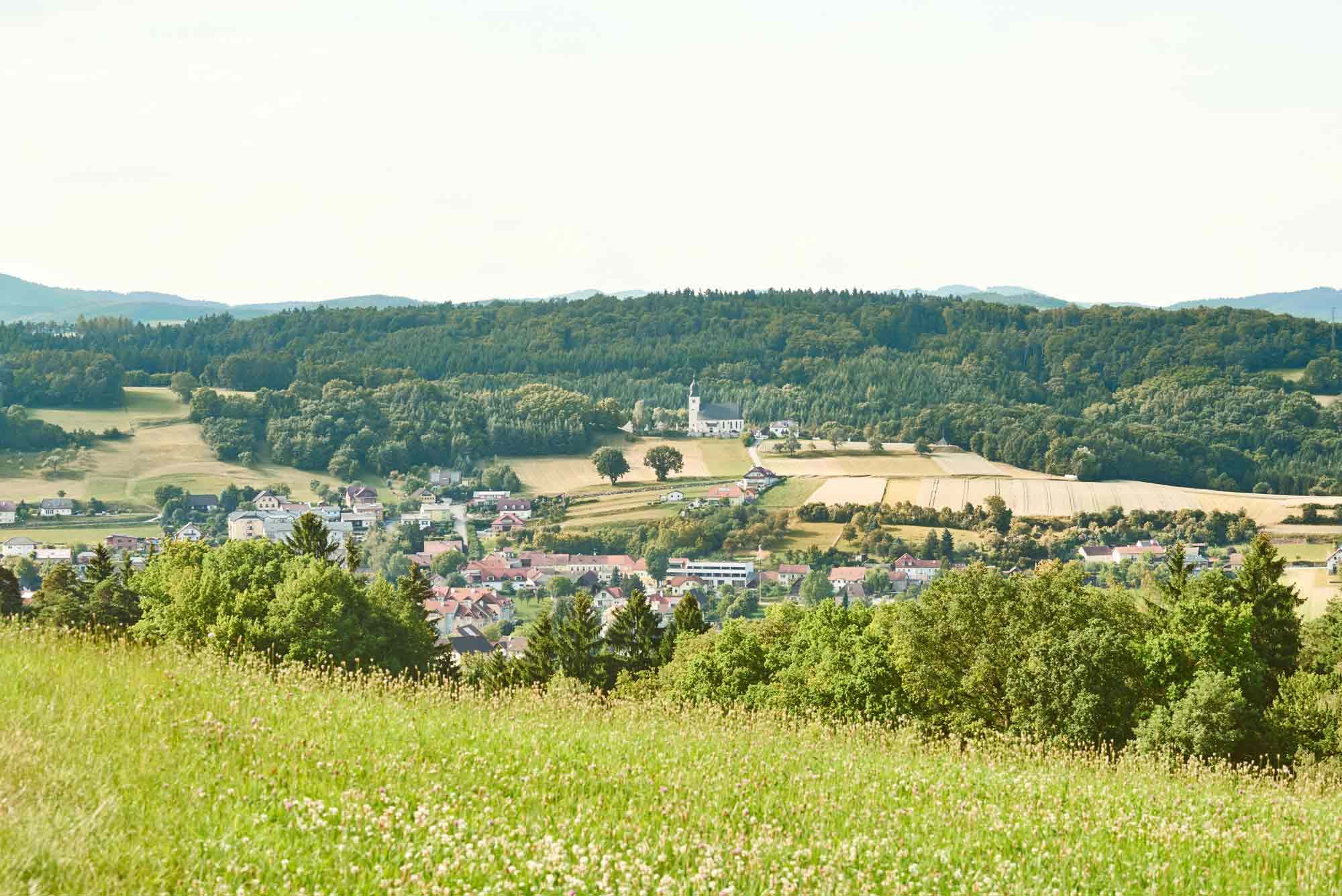 Panoramatický pohled na Leiben se zelenými poli a lesy v pozadí.