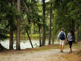 Edlesberger Teich, &copy; Waldviertel Tourismus, weinfranz