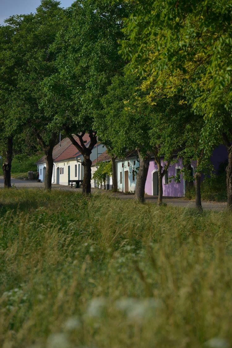 Sklepní uličky Thal, Ottenthal, Vinařství Maringer