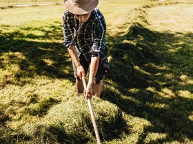 Die angrenzenden Wiesen liefern eine reiche Ernte, &copy; VSE, Hilmbauer Jakob