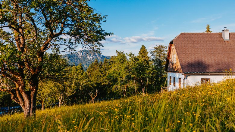 Nestelberg 17 (c)Marlene Schindlegger (47), © Sabine Wieser