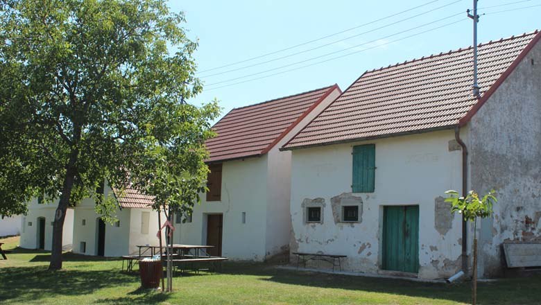 Wine cellar lane Sierndorf/March, © Weinviertel Tourismus