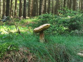 Diebsweg, Nr. 43, &copy; Gemeinde Gutenbrunn