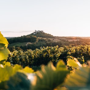 Zelená vinařská krajina ve Falkensteinu., © Niederösterreich Werbung/Romeo Felsenreich