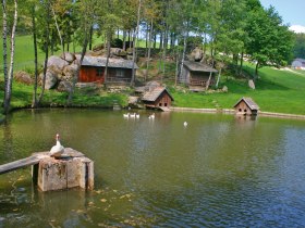 Schindelmacherweg, &copy; Marktgemeinde Sch&ouml;nbach