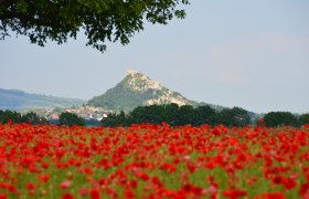 Staatzer Berg, © Erwin Kober