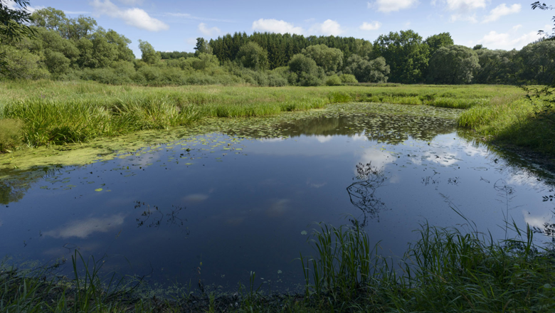 Lainsitz lowlands, &copy; Matthias Schickhofer