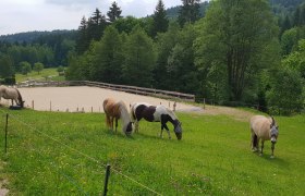 Kjelli's riding stable, © Kjelli´s Reiterhof