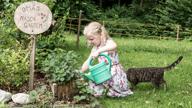 Rekreačn&iacute; chata Oberbach, &copy; Wolfgang Wutzl