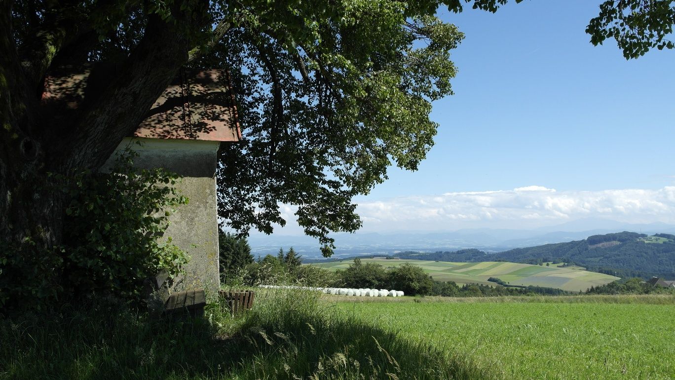 Brandstätter Kreuz - Výhled