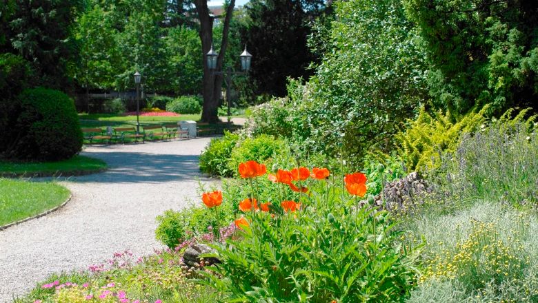 Udržovaná parková cesta s kvetoucími červenými květy a zelenými keři v parku Sparkassenpark St. Pölten.