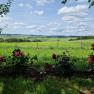 Rose garden with a view, © U.E.