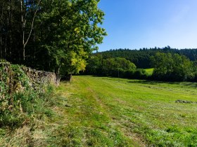 Alm- und Blumenwiesen, &copy; Gottfried Grossinger