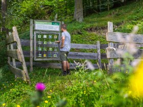 Interaktivn&iacute; hern&iacute; mapa pod&eacute;l cesty