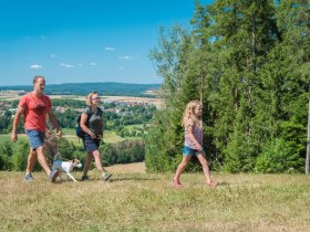 Maiswald, &copy; Matthias Ledwinka